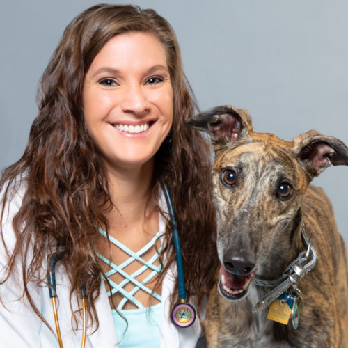 Our Veterinarians - Lone Mountain Animal Hospital