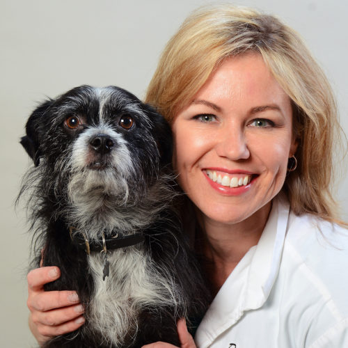 Our Veterinarians - Lone Mountain Animal Hospital